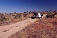 Immagini di viaggio - Foto Botswana - Natura selvaggia, popoli e animali